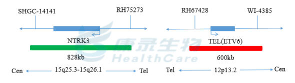 中国·拉斯维加斯(3499·官方认证)网站-Officialwebsite